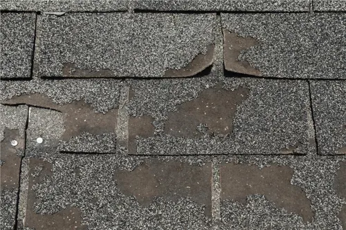 5 Signs Your Roof Needs Replacement (Before It's Too Late)