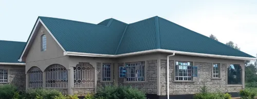 From Foundation to Roof: A Kisii Homeowner's Journey with Egesa Mabati